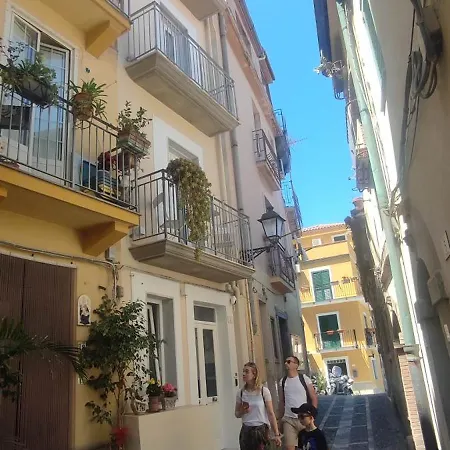 Nest * Scilla